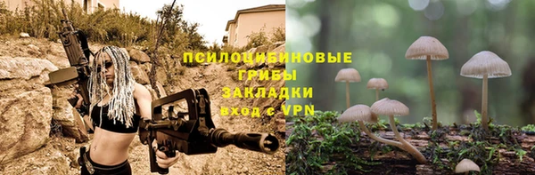 mix Аркадак